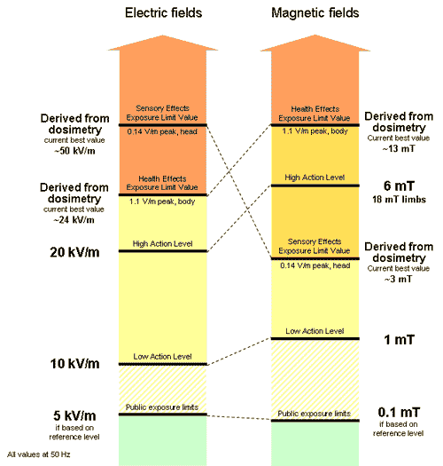 diagram of directive levels