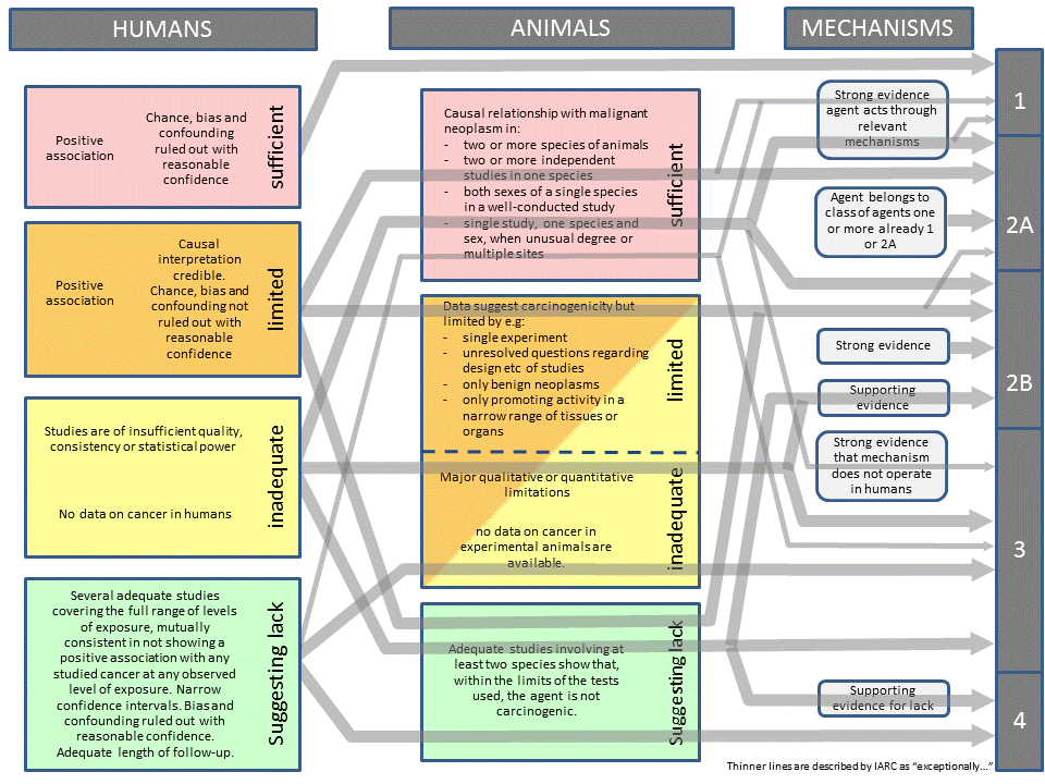 flowchart showing IARC rules