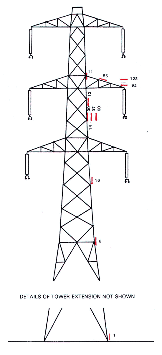 diagram with measurements of e-field on pylon